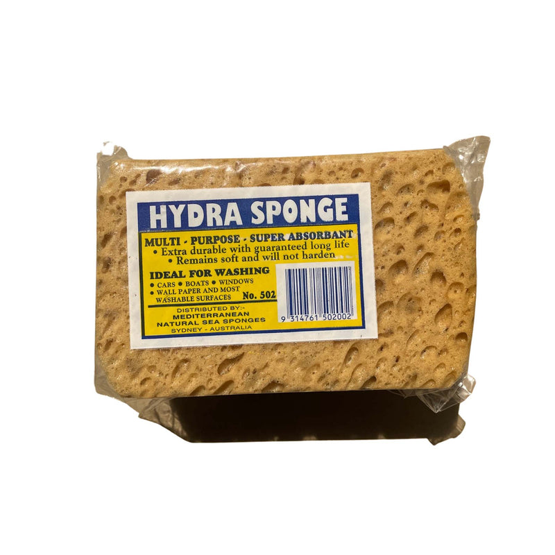 Mediterranean Hydra Sponge