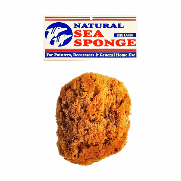 natural sea sponge for painting 